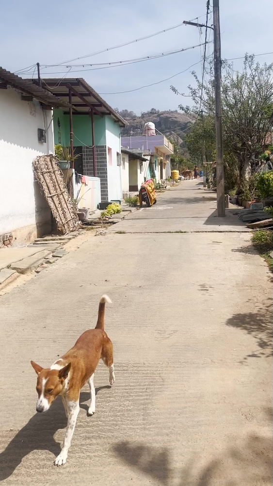 At-the-family-1-site