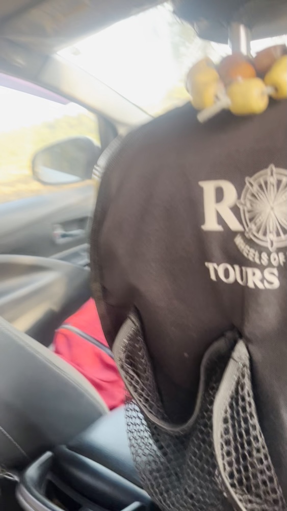 At-the-family-2-Fields