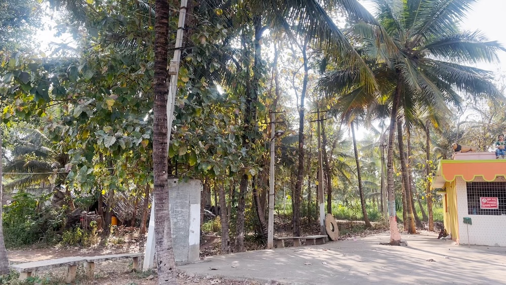 At-the-family-2-site